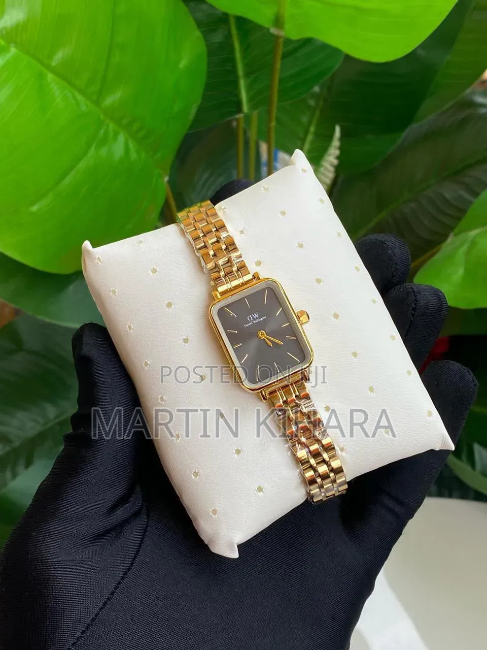 Daniel Wellington (Dw) Ladies Watch