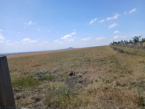 100 Acreas Gobit Nayuki