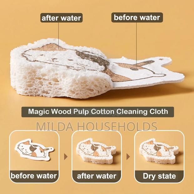 Expandable Dish Wash Pad - main view