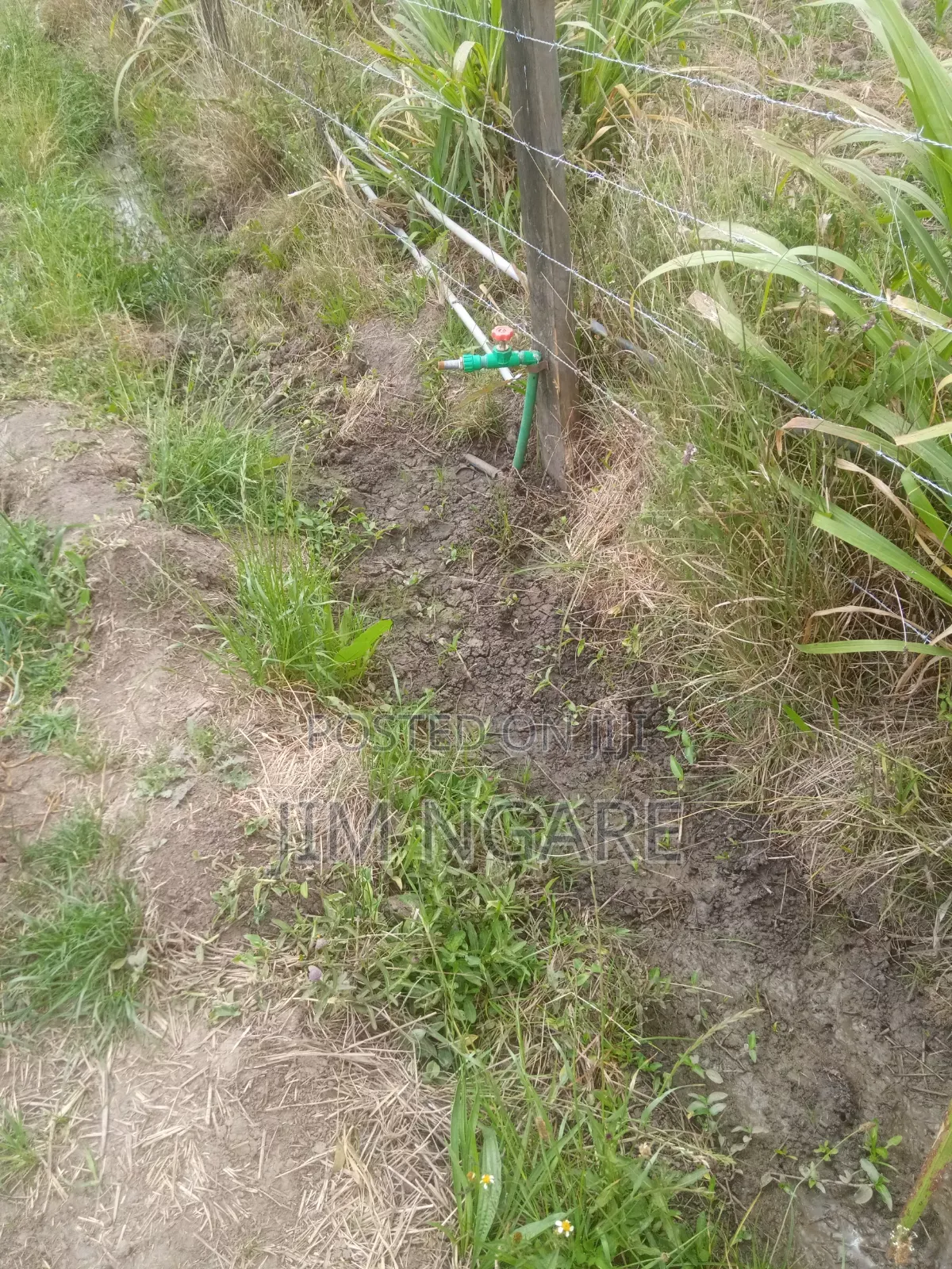 One Acre of Agricultural Land.