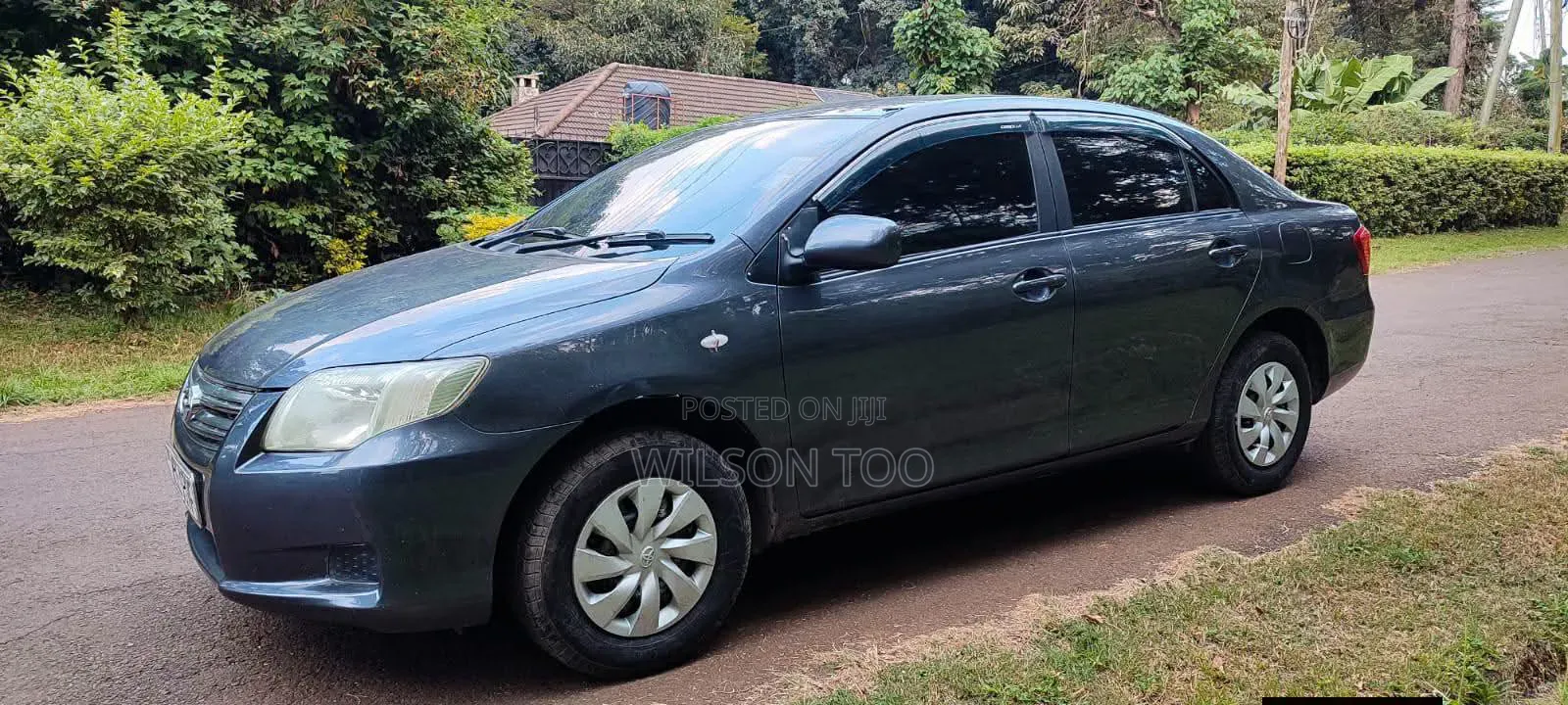 Toyota Axio 2008 Blue