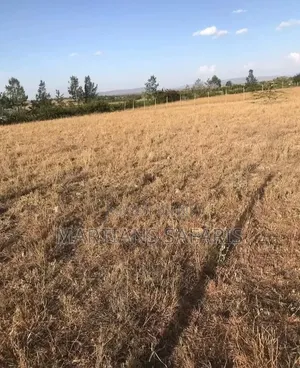 50*100 Plot Kitengela Acacia