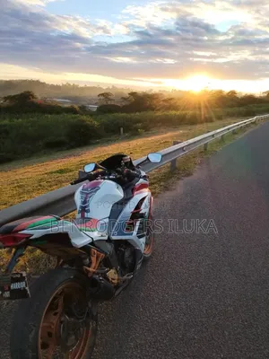 Kawasaki Ninja 300 2013 White