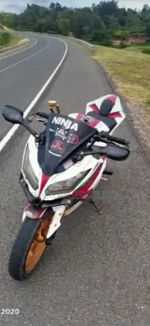 Kawasaki Ninja 300 2013 White