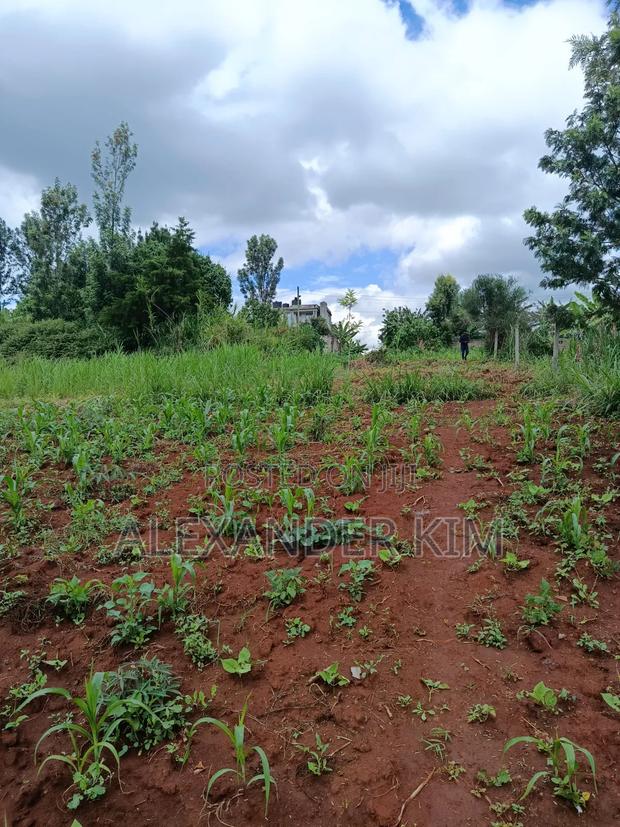 Ruiru-Mugutha Dam Ridge Estate Residential Plot - thumbnail 2