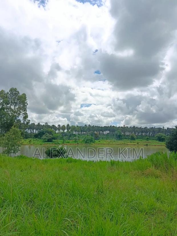 Ruiru-Mugutha Dam Ridge Estate Residential Plot - thumbnail 4