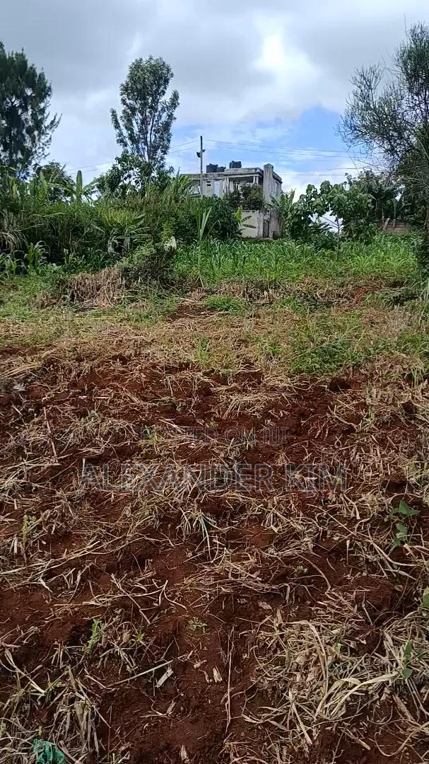 Ruiru-Mugutha Dam Ridge Estate Residential Plot - thumbnail 5