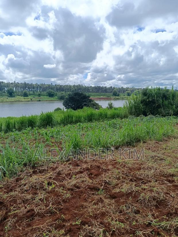 Ruiru-Mugutha Dam Ridge Estate Residential Plot - thumbnail 8