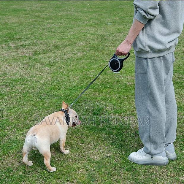 Heavy Duty Automatic Retractable Dog Leash - 8m Length