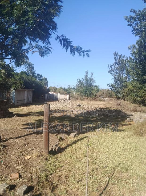 Prime Commercial 40×80 Plot Along Kiganjo Road - thumbnail 2