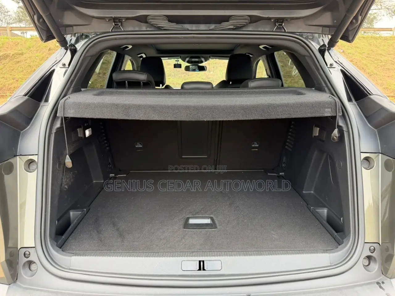 Peugeot 3008 2020 Gray