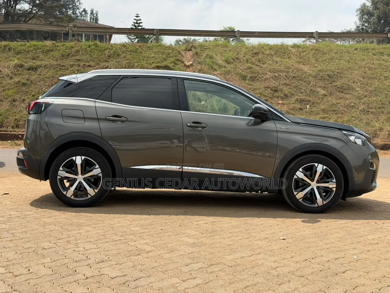 Peugeot 3008 2020 Gray