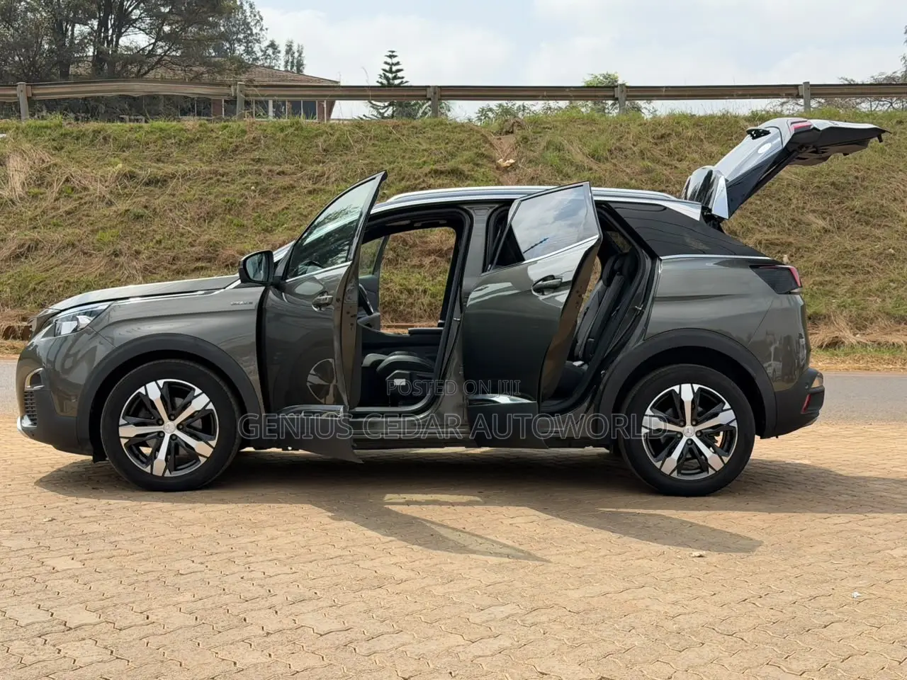 Peugeot 3008 2020 Gray