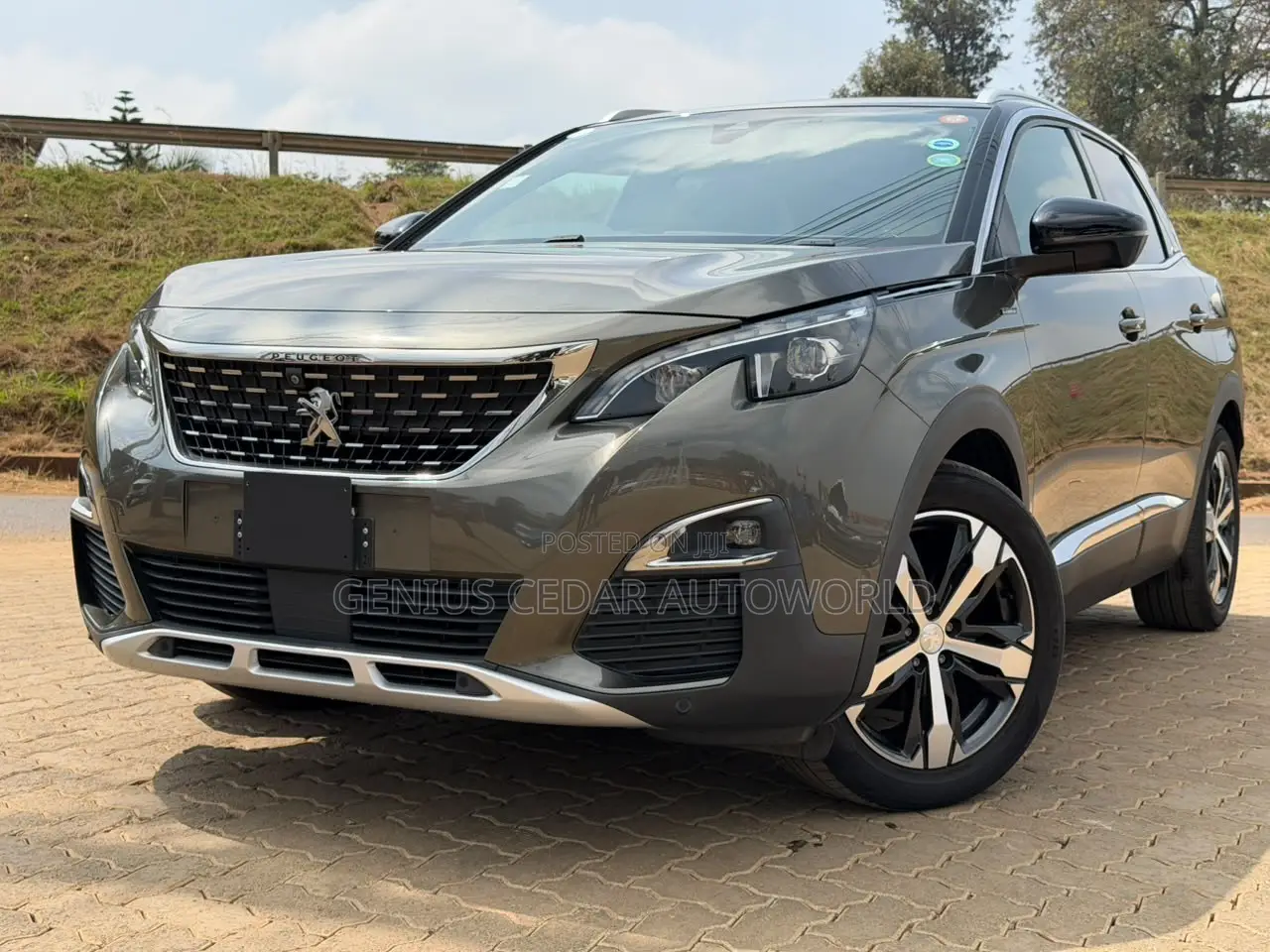 Peugeot 3008 2020 Gray