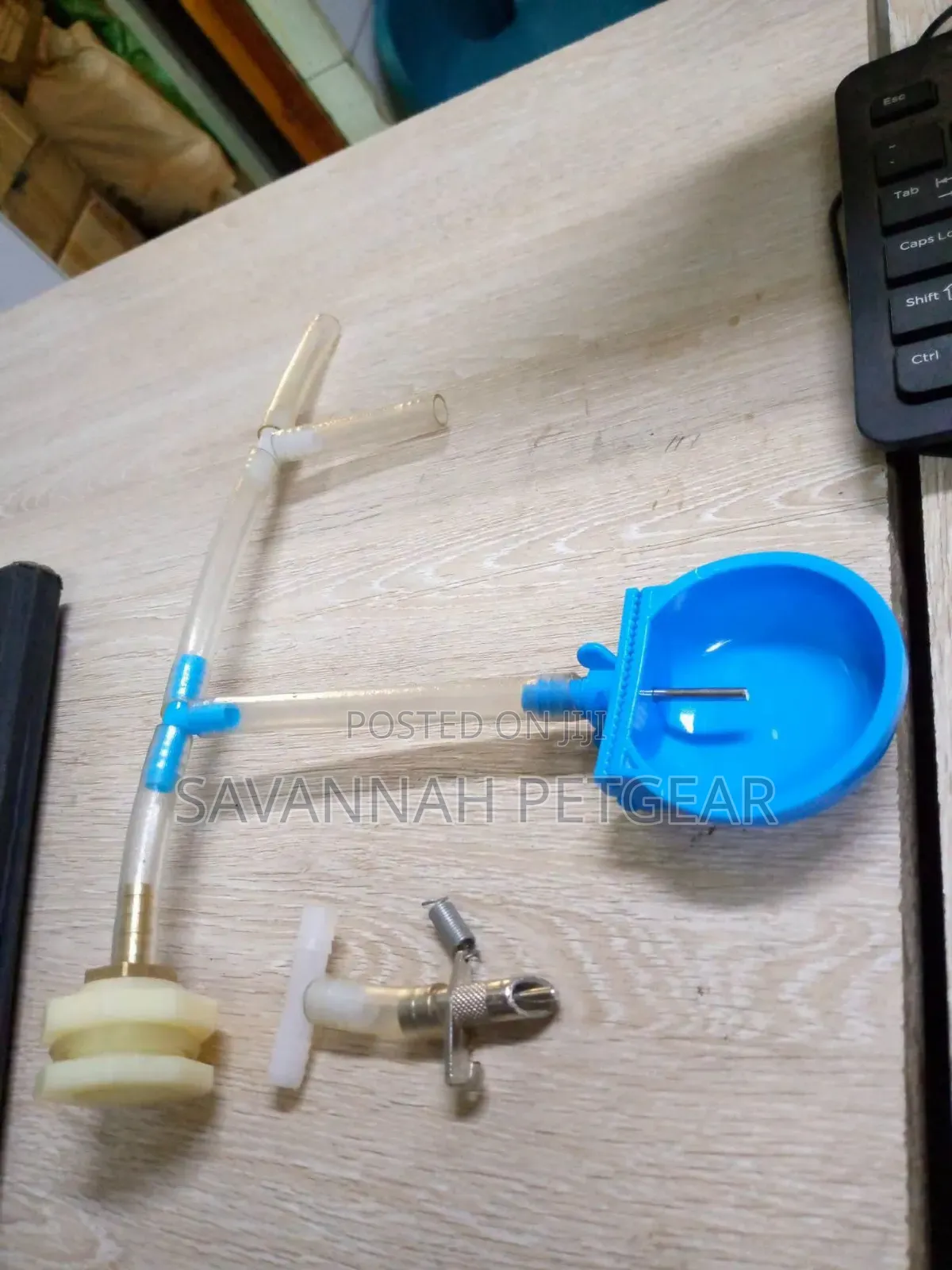 Automatic Rabbit Bowl Drinkers Blue Plastic Cup and Clear PVC Tubing