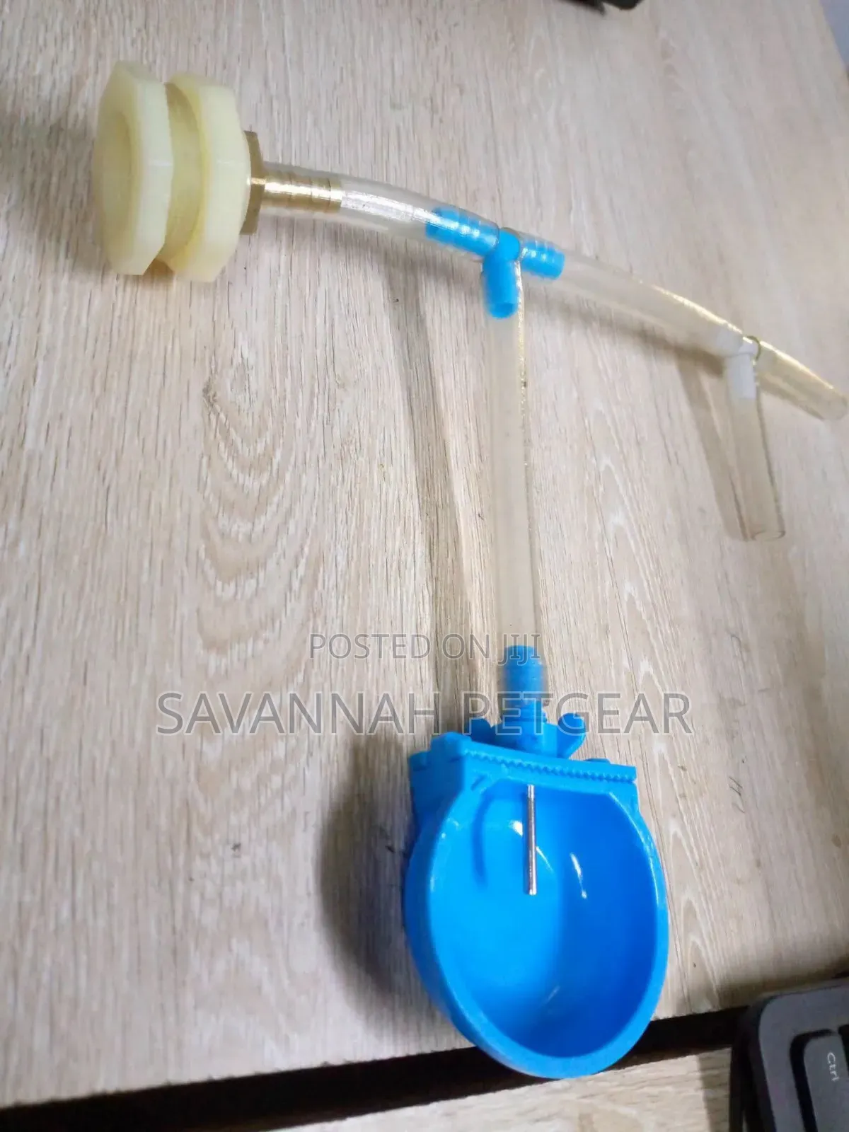 Automatic Rabbit Bowl Drinkers Blue Plastic Cup and Clear PVC Tubing