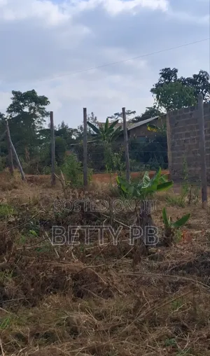 Plot at Kenol