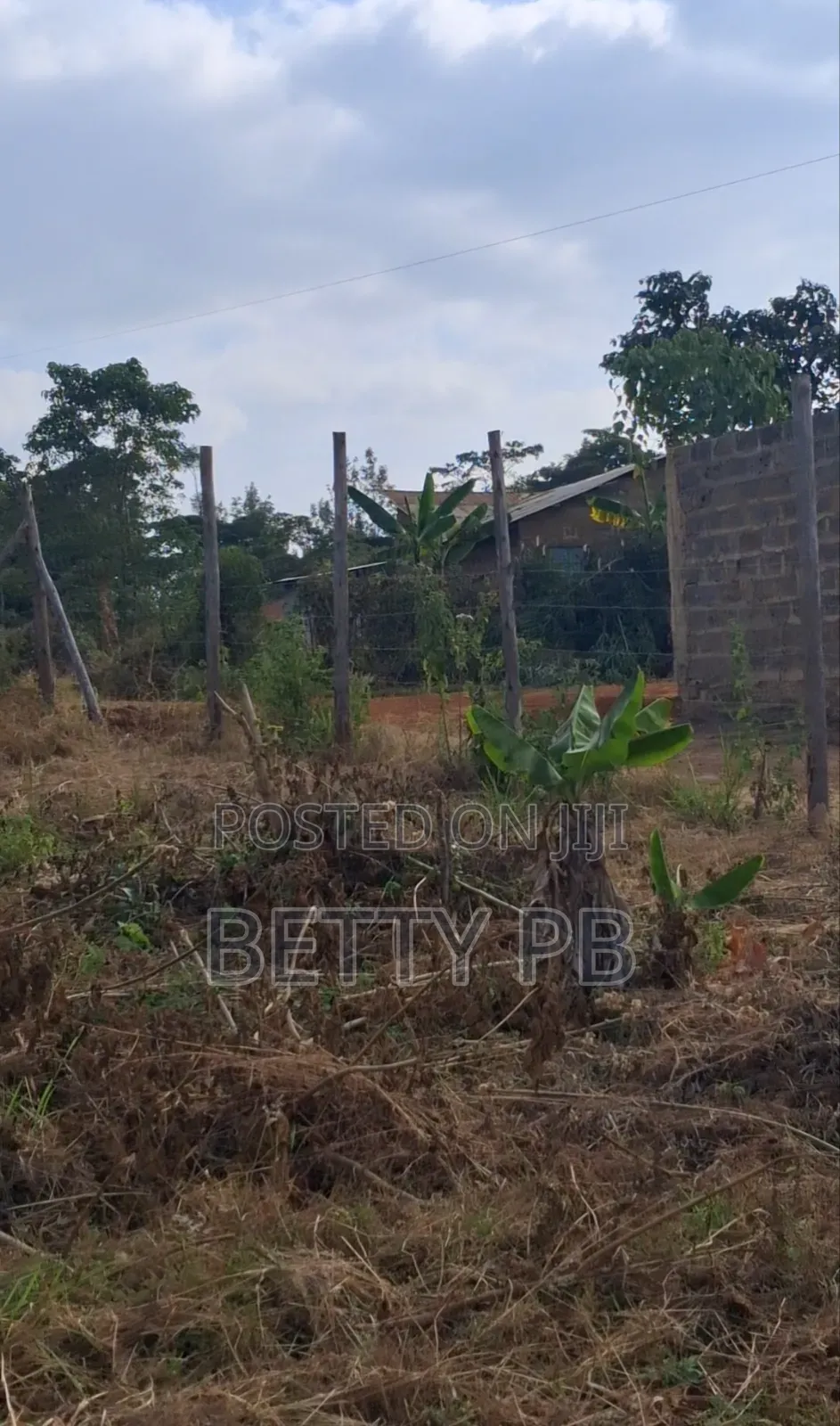 Plot at Kenol