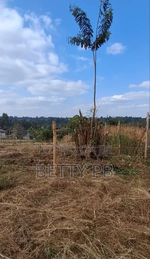 Plot at Kenol