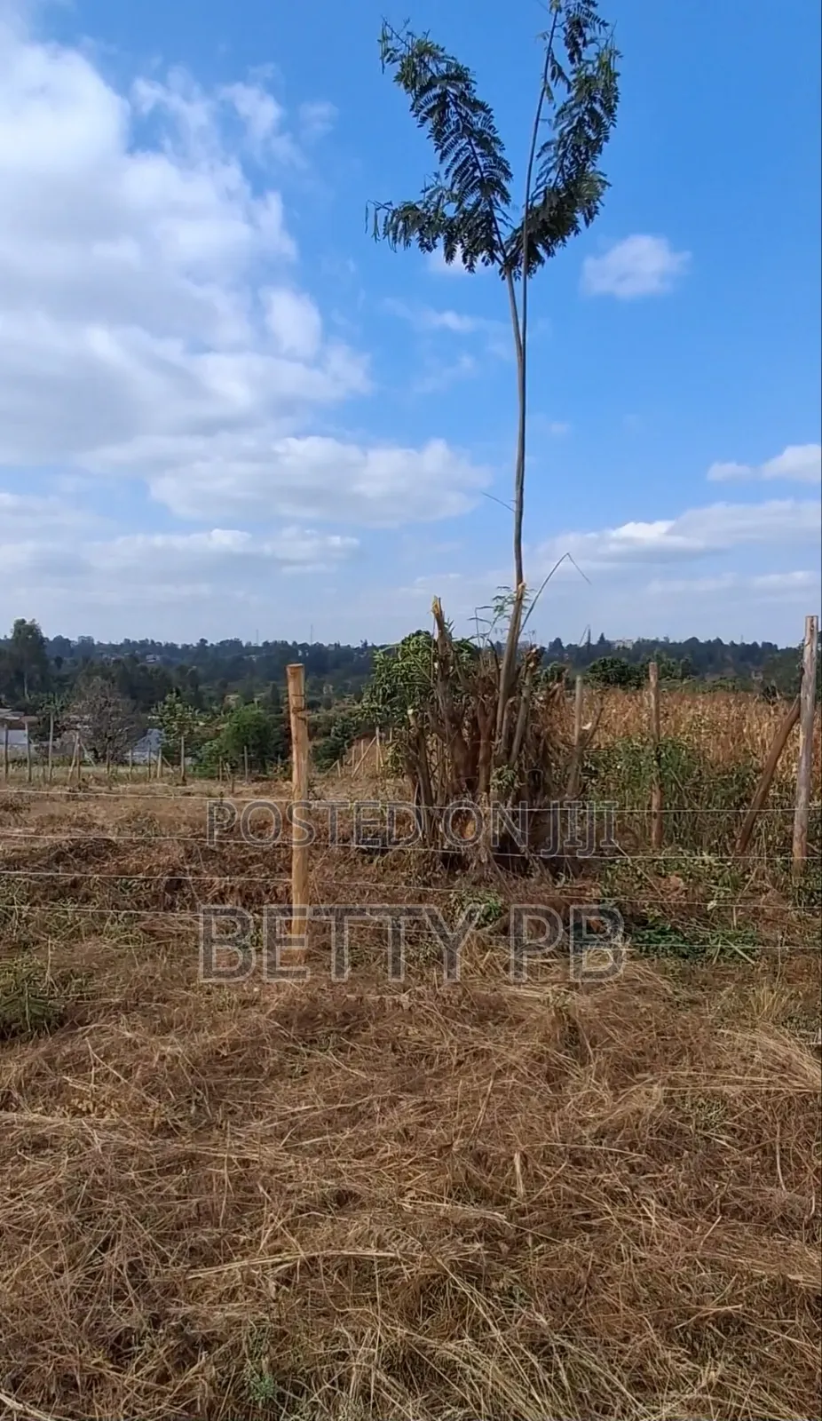 Plot at Kenol