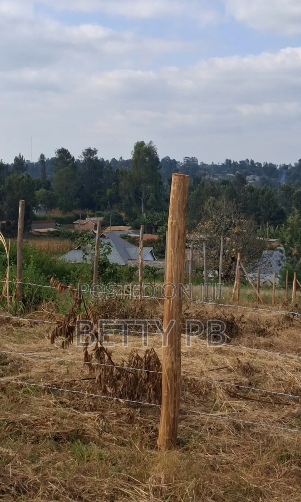 Plot at Kenol