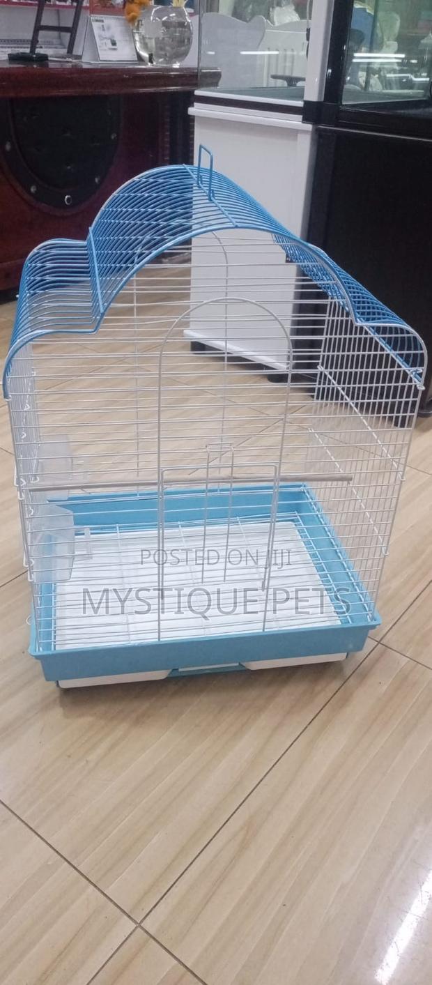 Cocktail Cages. - main view