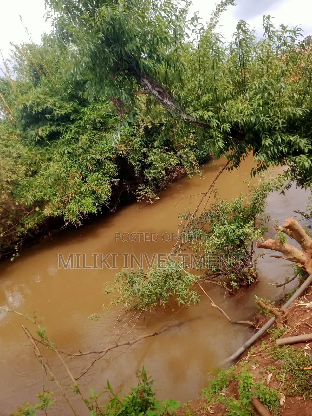 6 Acres on Sale at Murang'a-Kambirwa