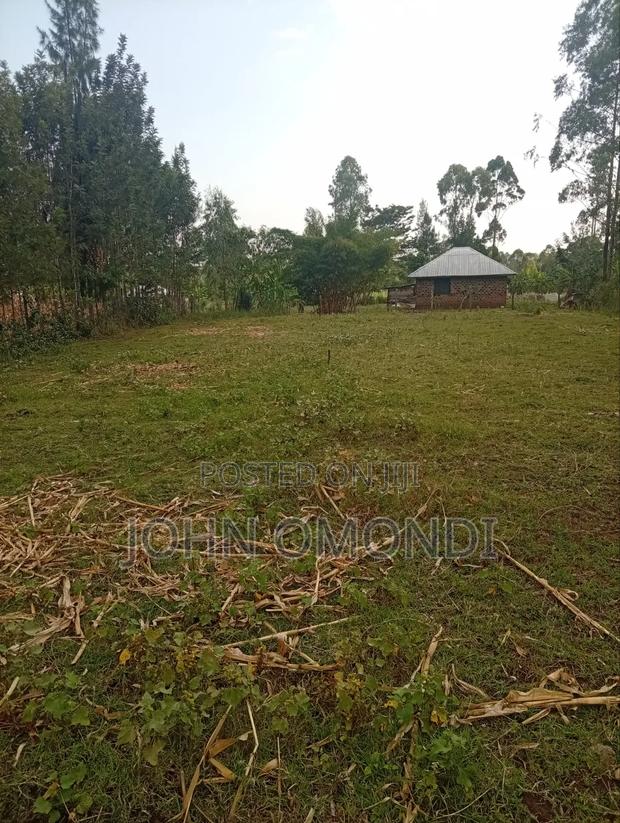 Land for Sale - thumbnail 2