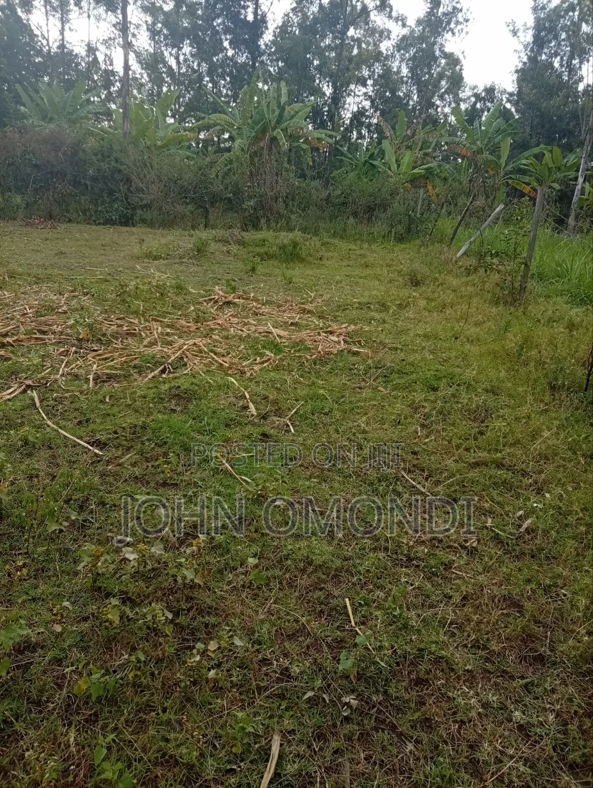 Land for Sale