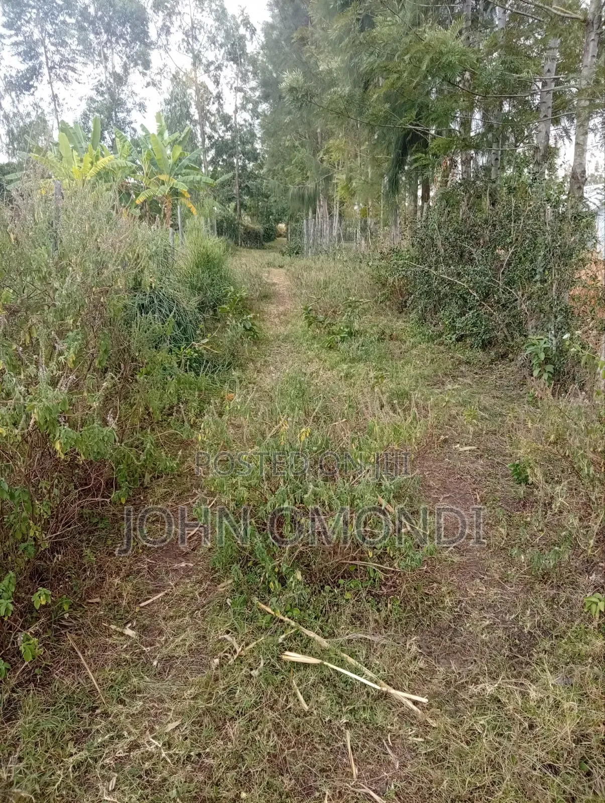 Land for Sale