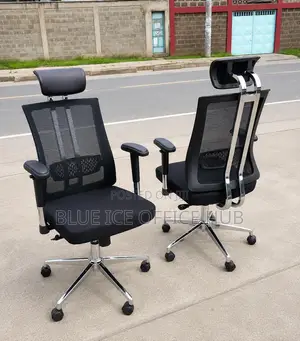 Orthopaedic Adjustable Headrest Chair Lumbar Back Support