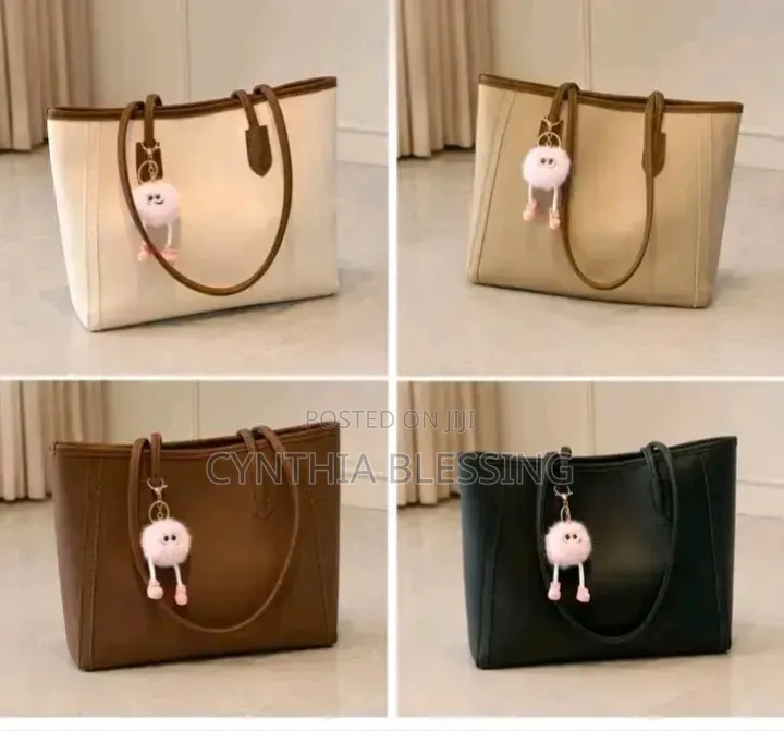 Fancy Handbag Stylish