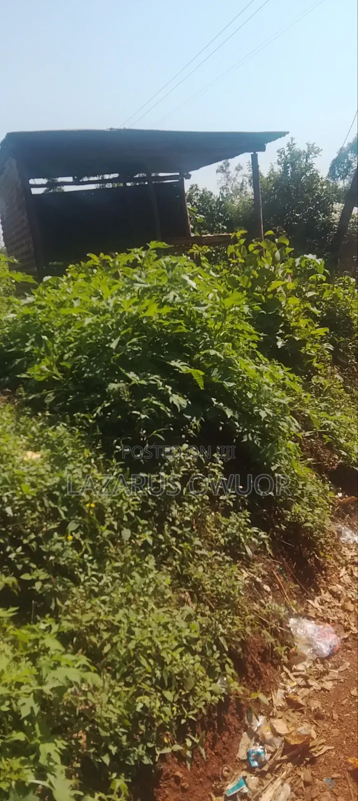 Plot for Sale in Rongo