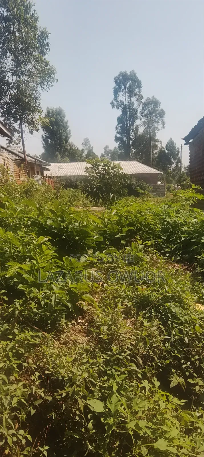 Plot for Sale in Rongo