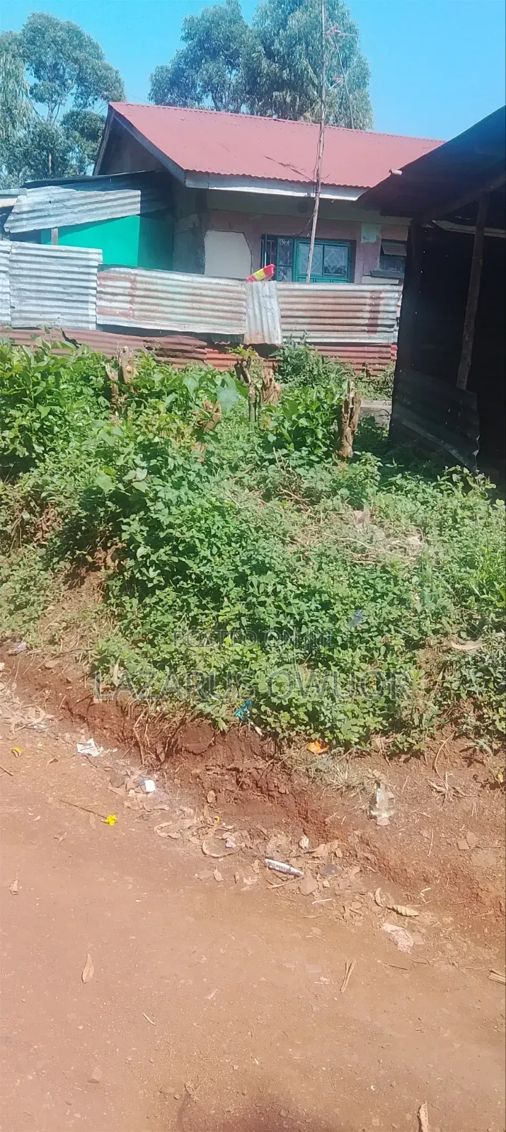 Plot for Sale in Rongo