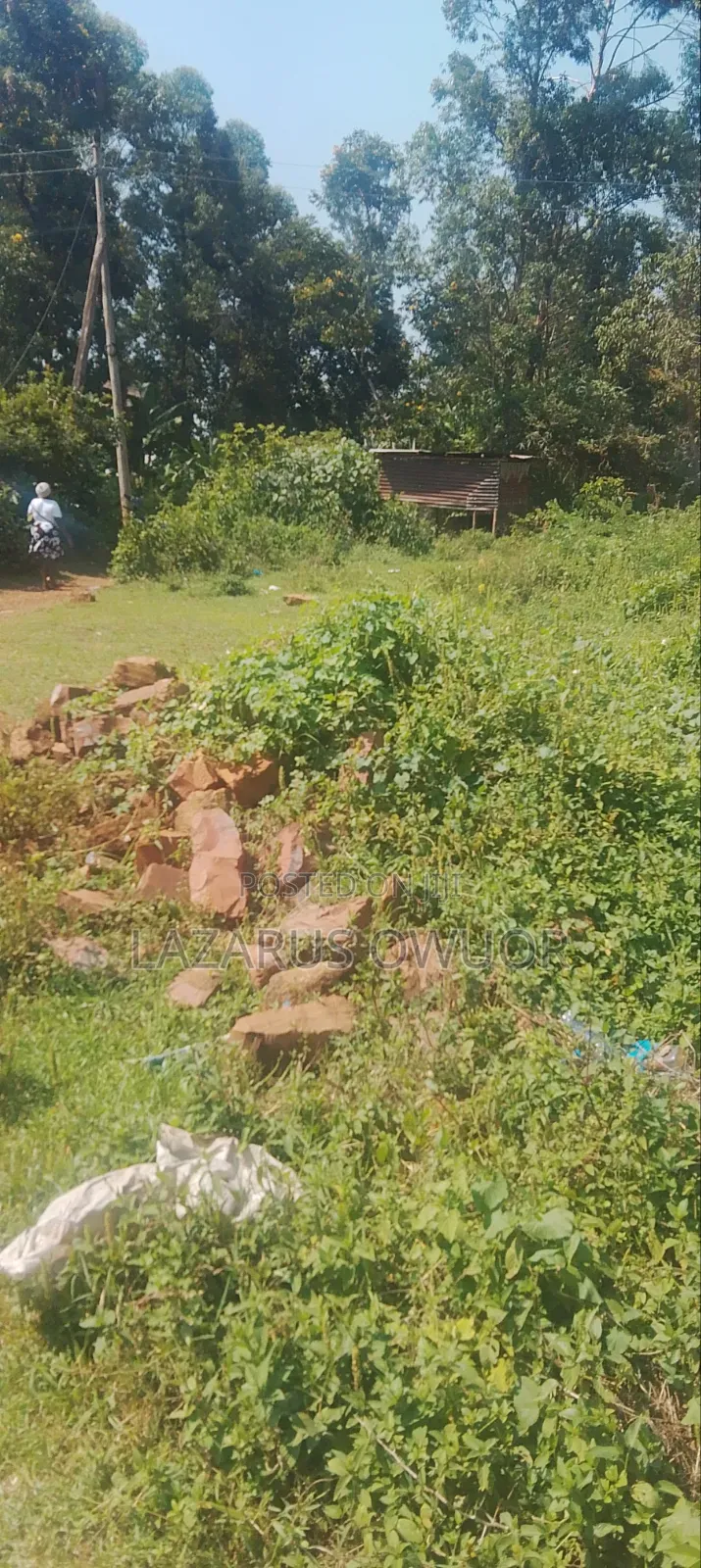 Plot for Sale in Rongo