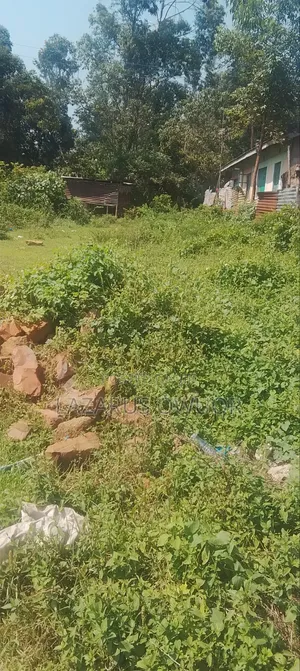 Plot for Sale in Rongo