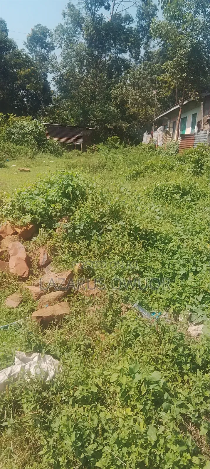 Plot for Sale in Rongo