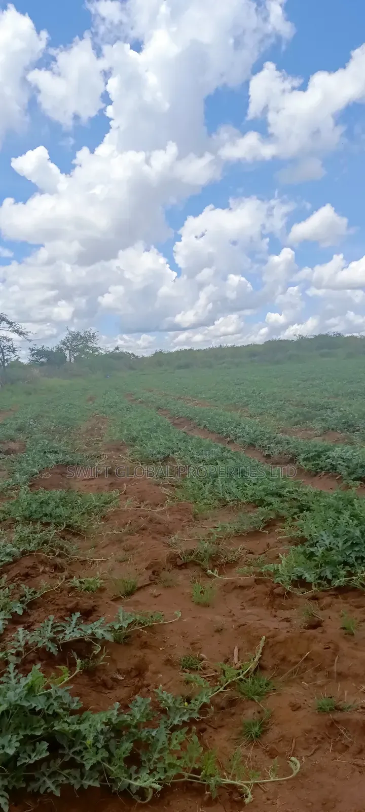 1000 Acres With Spring Water in Kiboko Makindu Is for Lease