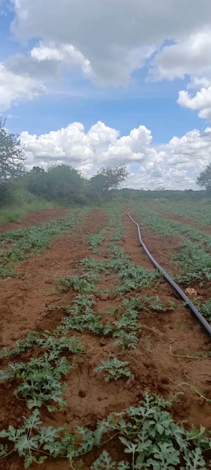 1000 Acres With Spring Water in Kiboko Makindu Is for Lease
