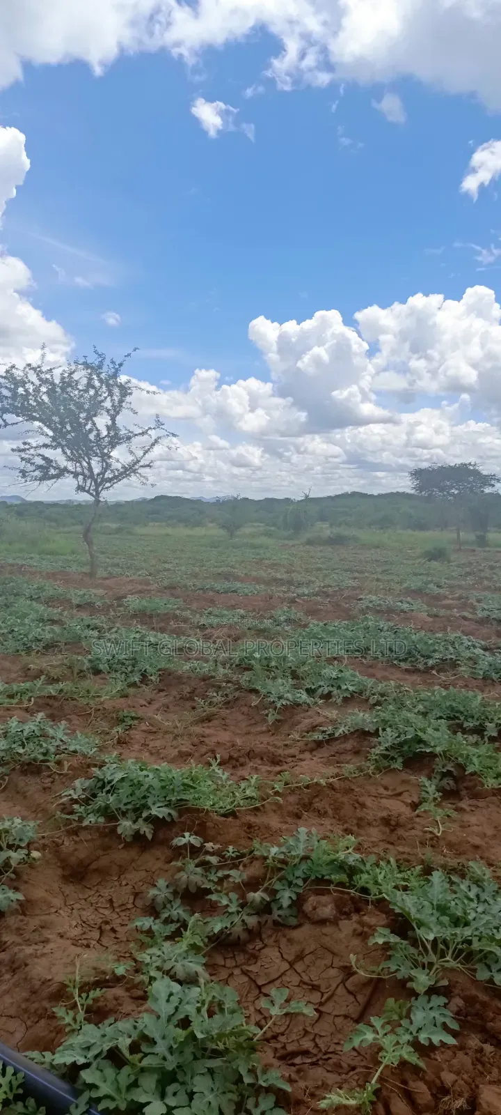 1000 Acres With Spring Water in Kiboko Makindu Is for Lease