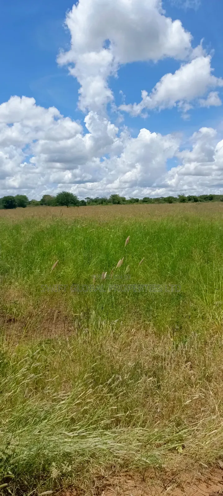 1000 Acres With Spring Water in Kiboko Makindu Is for Lease