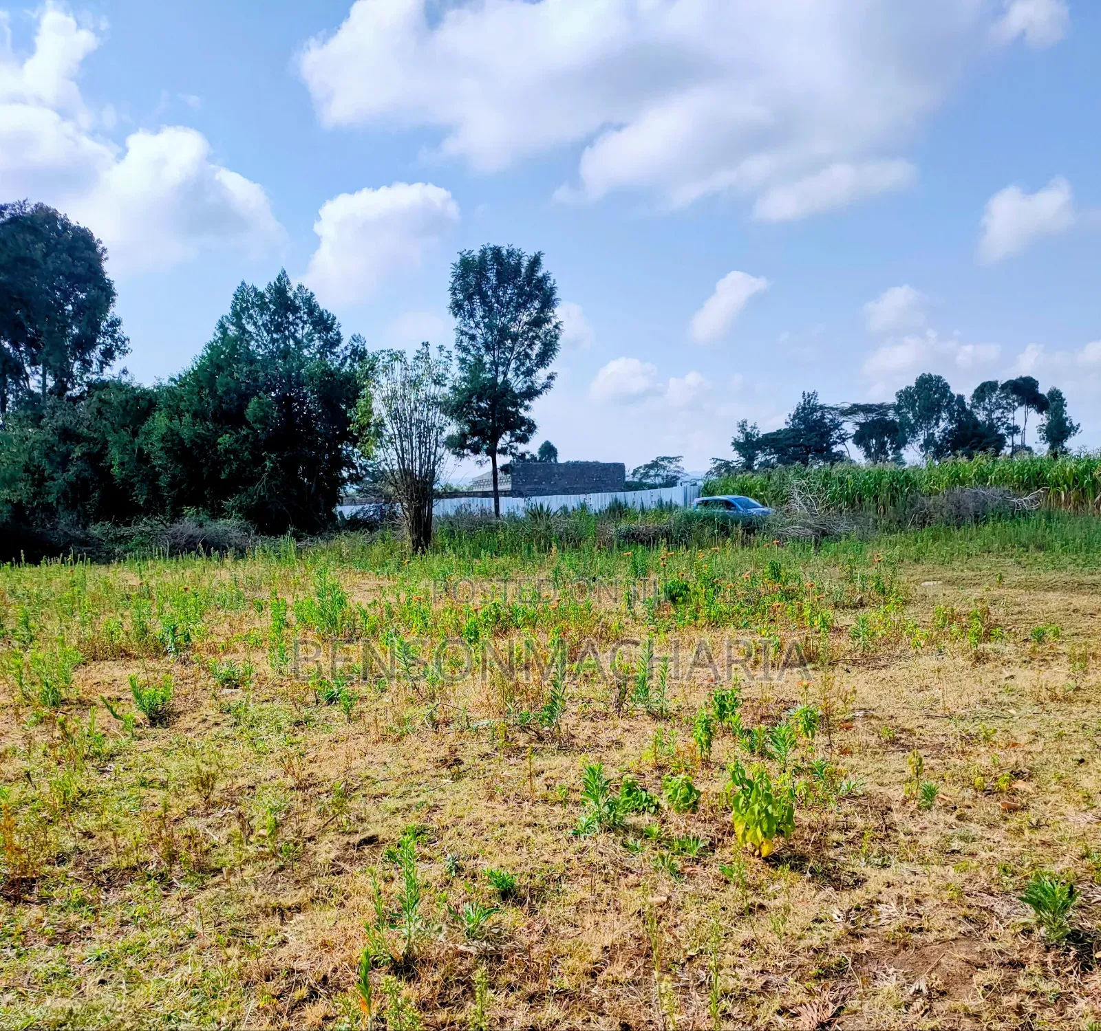 Naivasha 50*100 Plots With Title
