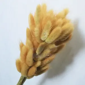 Dried Natural Bunny Tail Grass Decorative Home Vase Flowers - Pl