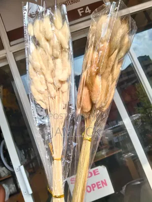 Dried Natural Bunny Tail Grass Decorative Home Vase Flowers - Pl