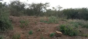 8 Acres Thika Kilimambogo