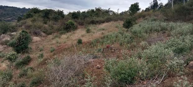 8 Acres Thika Kilimambogo - thumbnail 3