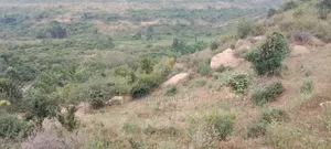 8 Acres Thika Kilimambogo
