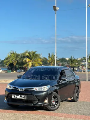 Toyota Axio 2018 Black