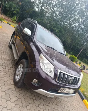 Toyota Land Cruiser Prado 2011 Brown